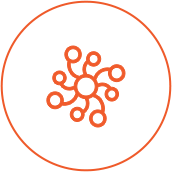 IntraCellular Testing