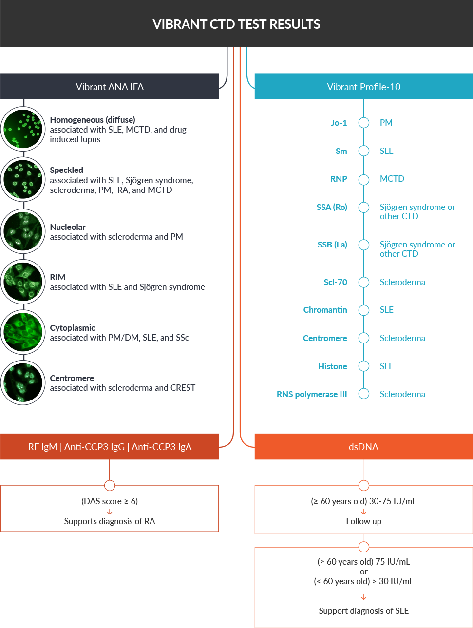 A chart describing Vibrant CTD Tests Results