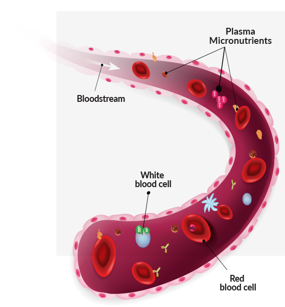 Blood stream