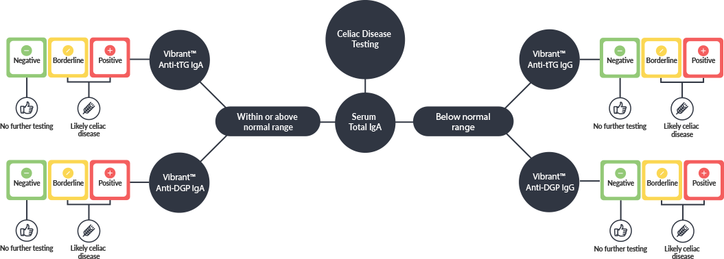 Celiac Disease Test Interpretation